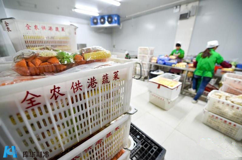 冷鏈先行，鮮達香江 解碼供港蔬菜85%份額背后的冷庫工程精髓